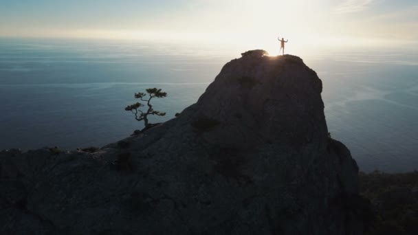 日没の海に対して山の頂上に登る若い女性の空中シルエット。美しい景色の中で頂上の女性は彼女の手を上げる。成功の概念 — ストック動画