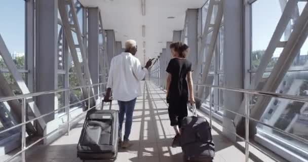 Back view of African young woman and American black man walk together talking, mixed race couple carry suitcases in airport terminal or train station, travel vacation together friends or marrieds — Stock Video