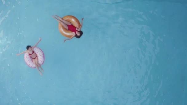 Дистанционный снимок двух брюнеток красоты в красных купальниках, расслабляющих дома или в бассейне отеля, плавающих, создающих волны и сидящих в резиновых надувных кругах, движущихся руках, загорающих, наслаждающихся отдыхом, видом сверху — стоковое видео