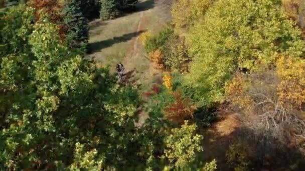 Pareja de ancianos hombre y mujer caminan por el sendero del bosque en un abrazo y disfrutan del descanso y la naturaleza del cálido otoño en un clima soleado. Paseo romántico de los ancianos en un acogedor parque, plano aéreo. — Vídeo de stock