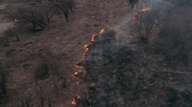 Ekolojik sorunlar. Yanan bir tarlası olan bir köyün videografisi. Duman tüm alana yayılıyor ve yangın, kuru otları yakıyor. İklim değişikliği ve ekoloji. Kırsal alan, orman ve ağaçlar..