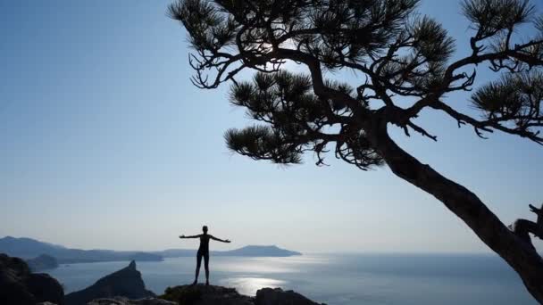 Atlet wisata perempuan naik ke puncak Gunung Tinggi di Krimea. Wanita muda menikmati pemandangan indah dan pemandangan laut dan sinar matahari jatuh di atasnya. Gaya hidup aktif, perjalanan dan pariwisata — Stok Video