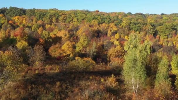 Veduta aerea della bellissima foresta autunnale con alberi colorati in una calda giornata di sole al rallentatore. Grande vista aerea foresta primaverile. Bel tempo per fare passeggiate nella natura con gli amici. Natura senza persone. — Video Stock