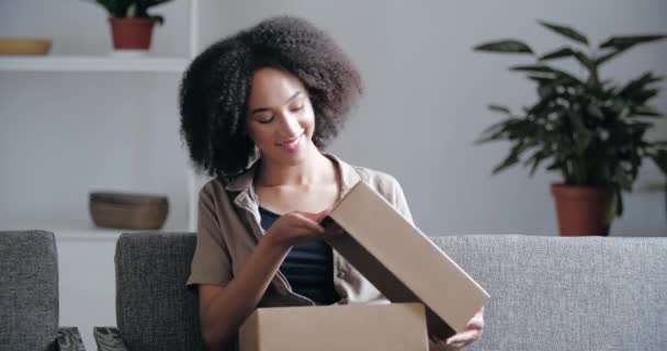 Atractiva chica de dibujos animados recibe regalo en el correo, caja con una sorpresa, señora interesada abre paquete de cartón de extraño, se siente la emoción, feliz con lo nuevo, cubre admirablemente la cara con las manos — Vídeos de Stock