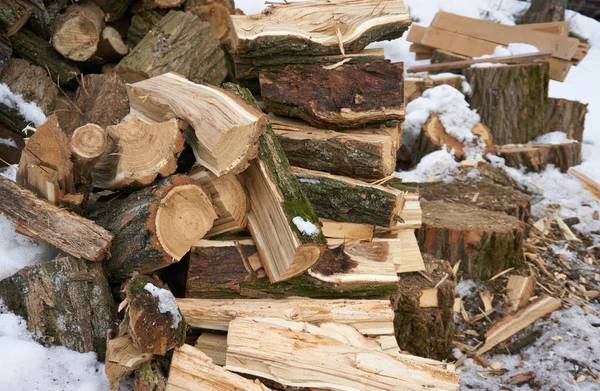 Ein Haufen Brennholz Der Draußen Schnee Liegt — Stockfoto