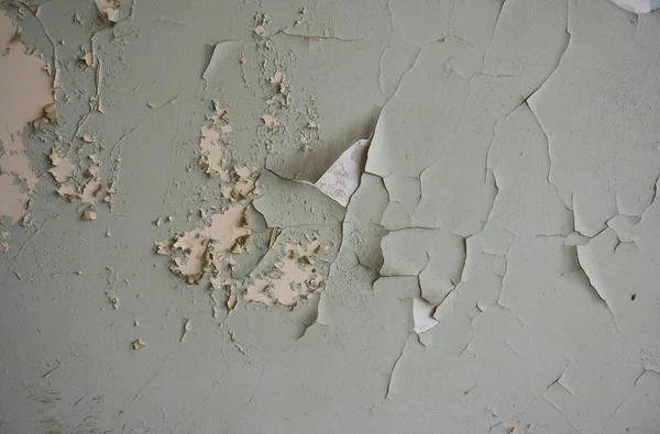 Eski Duvar Yontulmuş Kısmen Soyulmuş Beyaz Bej Yeşil Boya — Stok fotoğraf