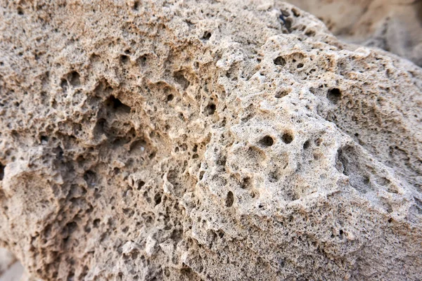 Caliza Playa Israel Con Agujeros Ella Hechos Por Agua — Foto de Stock