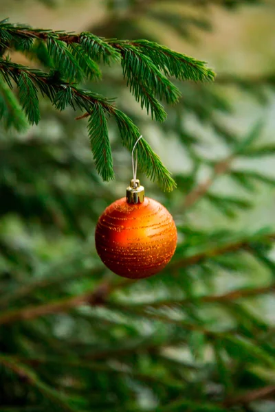 Weihnachtskugeln Hängen Baum — Stockfoto
