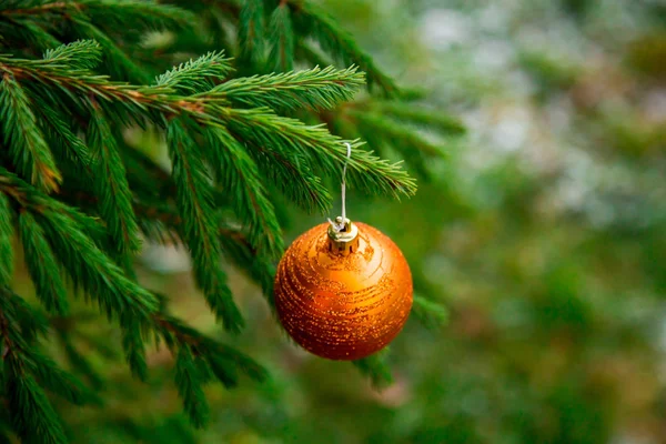 Weihnachtskugeln Hängen Baum — Stockfoto