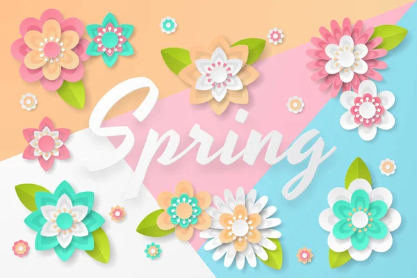 Frühling Hintergrund Mit Schönen Bunten Blume Kann Für Vorlage Banner — Stockvektor