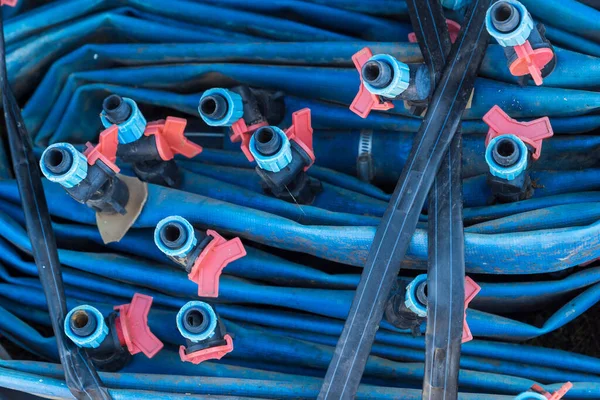 Niebieskie węże systemu nawadniania kroplowego. — Zdjęcie stockowe