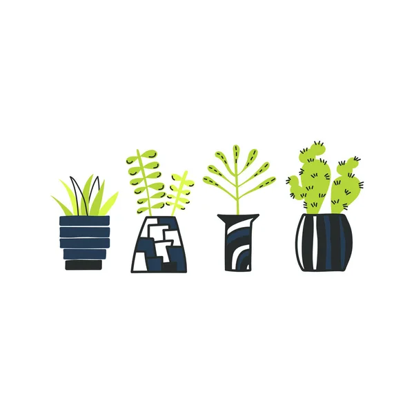 Σύνολο doodle σπίτι φυτά. Διάνυσμα χέρι . — Διανυσματικό Αρχείο