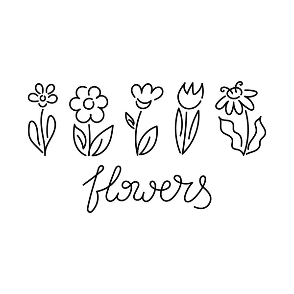 Jeu de vecteurs graphiques floraux. Fleurs dessinées à la main — Image vectorielle