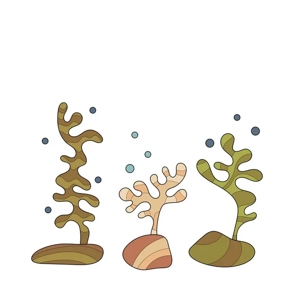 Monde sous-marin, plantes, coraux. Eléments de design, décoration de votre projet . — Image vectorielle