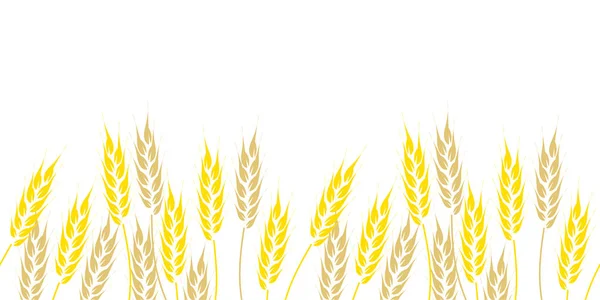 Bordo senza cuciture, spighe di grano disegnate a mano su sfondo bianco. Illustrazione vettoriale — Vettoriale Stock