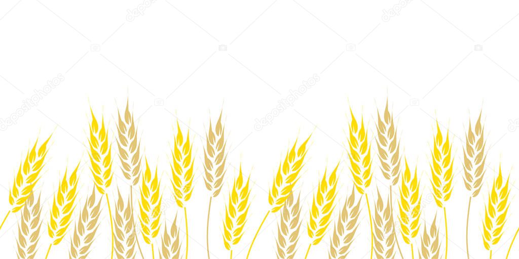 Seamless border, hand drawn wheat ears on white background. Vector illustration