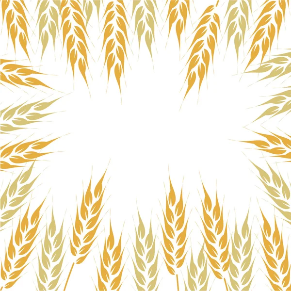 Marco dibujado a mano de espigas de trigo de arroz. Ilustración vectorial de marco para texto. Póster, anuncio, tarjeta de felicitación — Vector de stock