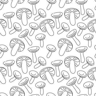 Mantar'dan dikişsiz desenler. El çizilmiş çizim vektör illüstrasyon. Beyaz taze organik gıda