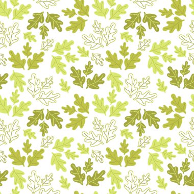 Beyaz arka planda parlak yeşil meşe yaprakları. Contours ve siluetleri.