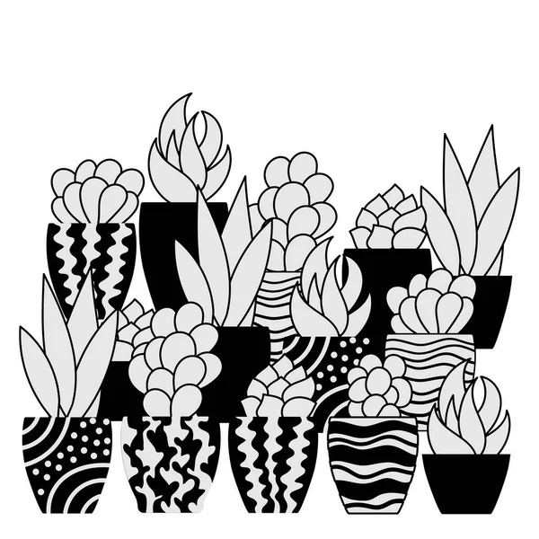 Παχύφυτα Γλάστρες Χειροποίητα Φυτά Εσωτερικού Χώρου Λευκό Φόντο Χώρος Για — Διανυσματικό Αρχείο