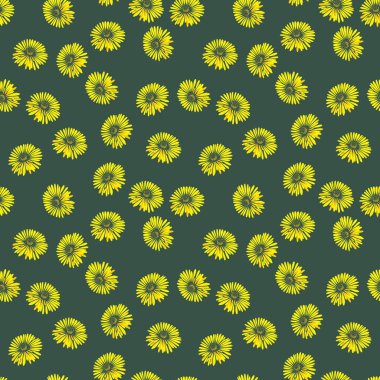 Asters 'la kusursuz çiçek deseni Dahlias. Koyu arkaplanda sarı çiçekler kumaş ve diğer yüzeyler için botanik arka plan. Vektör illüstrasyonu