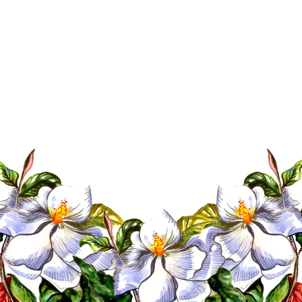Fiori Magnolia Cornice Cartolina Striscione Illustrazione Acquerello Sfondo Bianco — Foto Stock