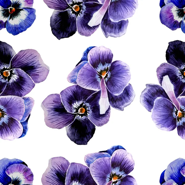 Padrão Sem Costura Floral Mariquinhas Violetas Blank Para Embalagem Tecido — Fotografia de Stock