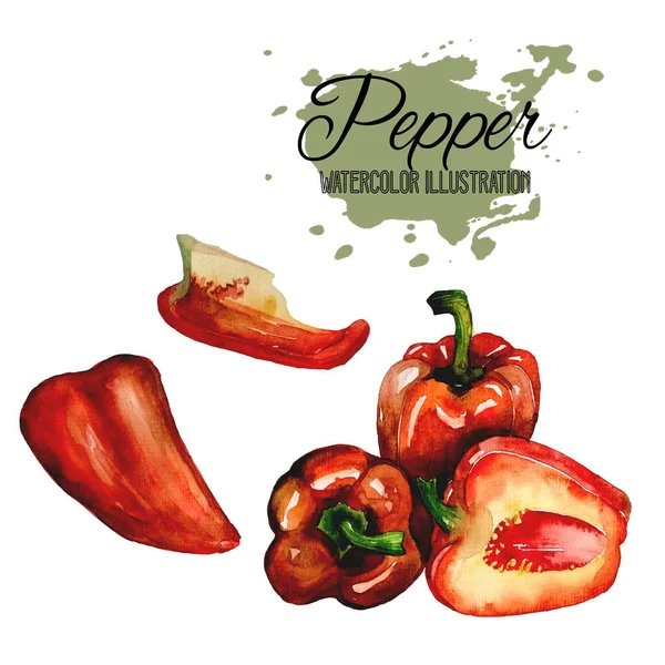 Hand Drawn Illustration Pepper White Background Watercolor Whole Half Pepper — Stock Photo, Image