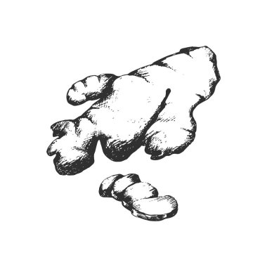 Kızıl. Beyaz bir arkaplana elle çizilmiş. 