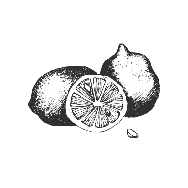 Limon Dessiné Main Sur Fond Blanc — Photo