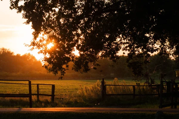 Yellow countryside sunset illuminating the meadow and road with fence