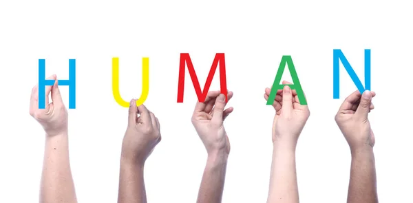 Χέρια Κρατούν Γράμματα Λέξη Ανθρώπινο — Φωτογραφία Αρχείου