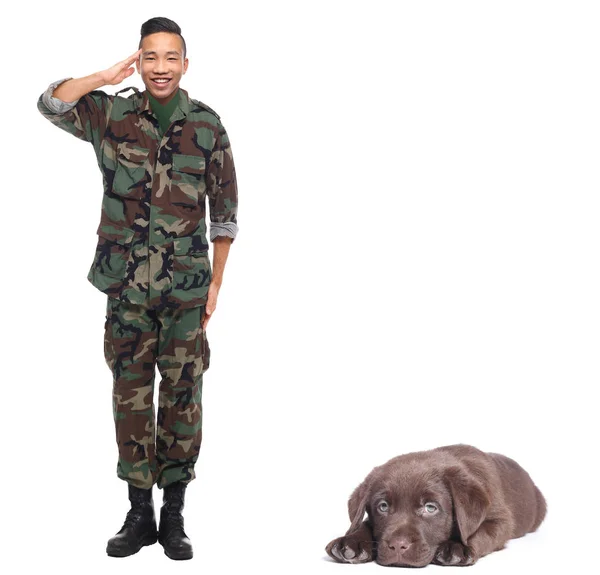 Mladý Asijský Mužský Voják Salutuje Blízko Psa — Stock fotografie