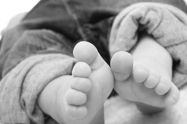 Feet Little Baby Close — Stock Photo, Image