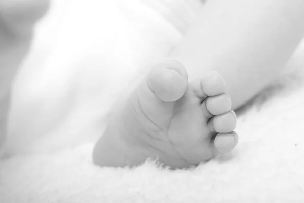 Foot Little Baby Close — Stock Photo, Image