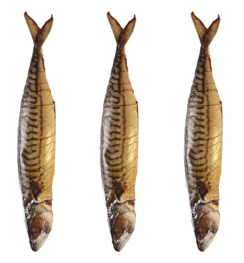 Beyaz arkaplanda izole edilmiş balık