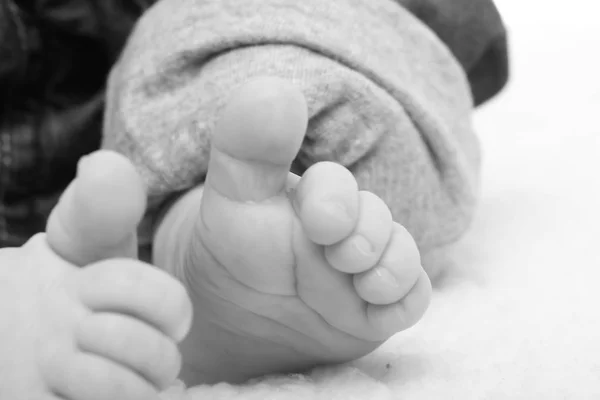 Feet Little Baby Close — Stock Photo, Image