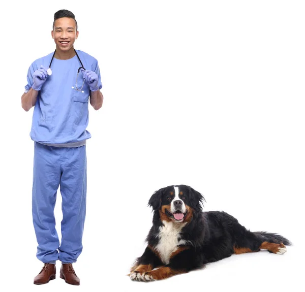 Молодий Азіатський Лікар Чоловічої Статі Собакою — стокове фото