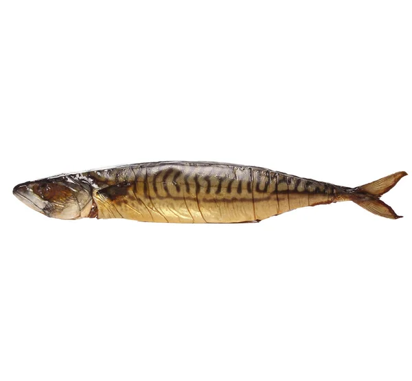 Рыба Изолированы Белом Фоне — стоковое фото