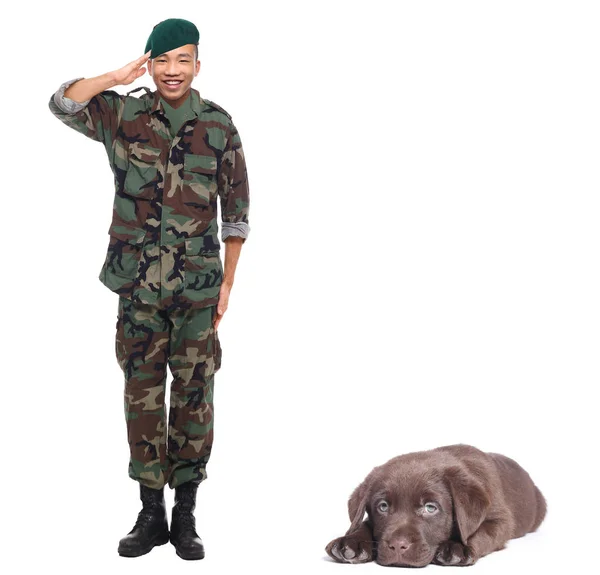 Ung Asiatisk Manlig Soldat Saluter Nära Hund — Stockfoto
