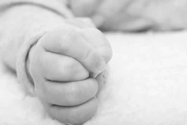 Hand Little Baby Close — Stock Photo, Image