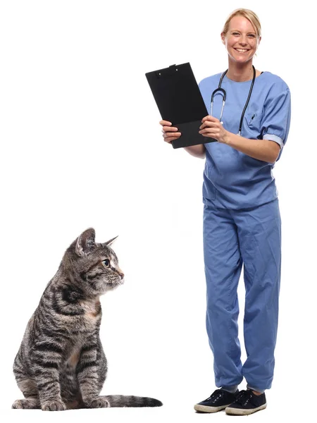 Veterinär Läkare Med Hund Vit Bakgrund — Stockfoto