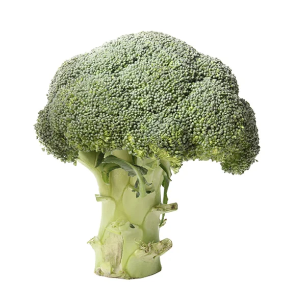 Grøn Broccoli Hvid Baggrund - Stock-foto