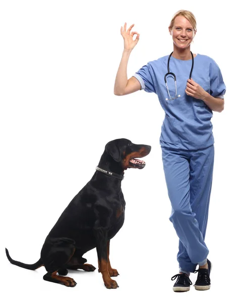 Médecin Vétérinaire Femme Caucasienne Avec Chien — Photo