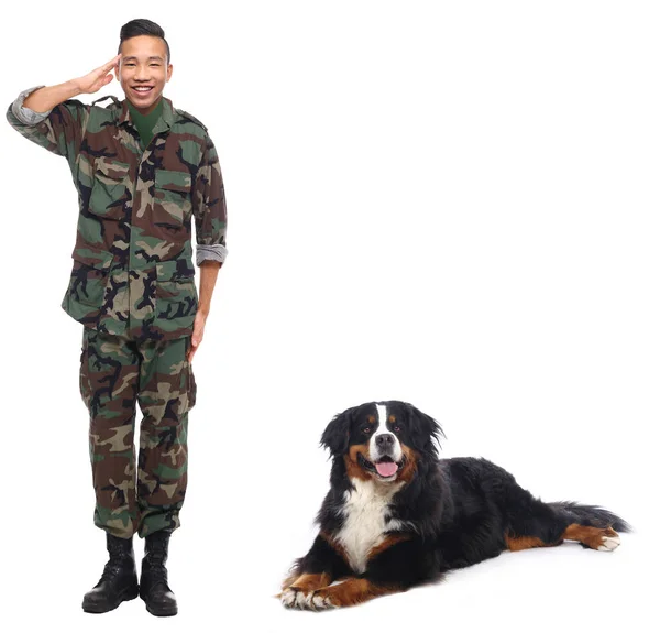 Jonge Aziatische Mannelijke Soldaat Groeten Buurt Van Dog — Stockfoto
