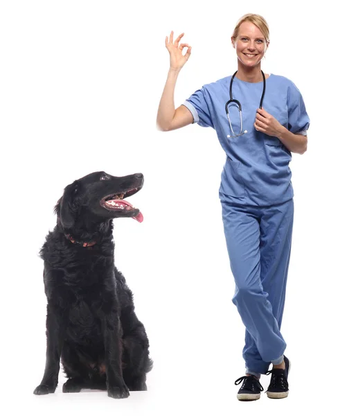 Kaukasiska Kvinnlig Veterinär Läkare Med Hund — Stockfoto