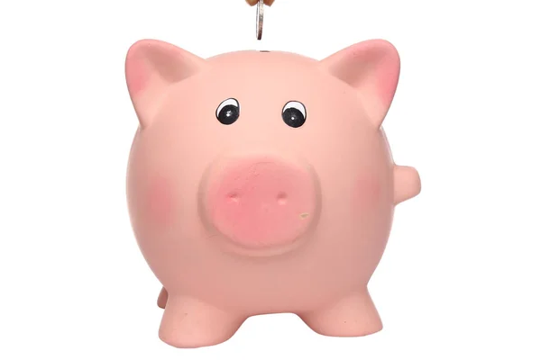 Hand Putting Euro Coin Piggy Bank — Stock Photo, Image
