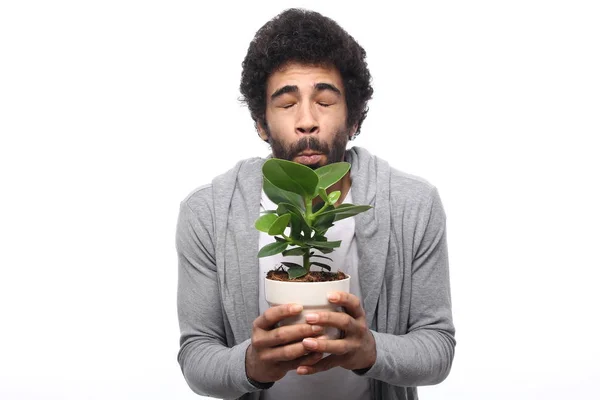 Homme Noir Avec Plante Verte Pot — Photo