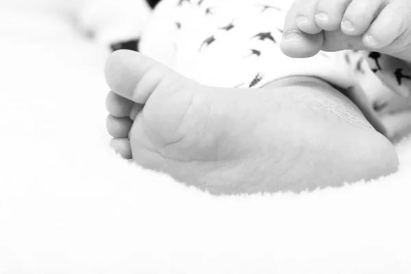 Feet Little Baby Close — Stock Photo, Image