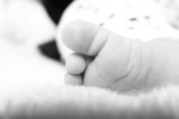 Foot Little Baby Close — Stock Photo, Image